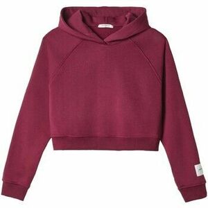 Pulóverek Hinnominate Cappuccio A Scatoletta Con Manica Raglan kép