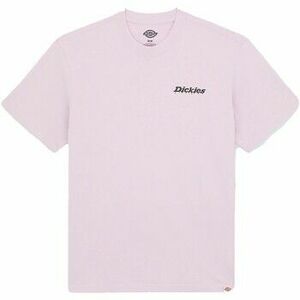 Rövid ujjú pólók Dickies Statesville Tee Ss kép