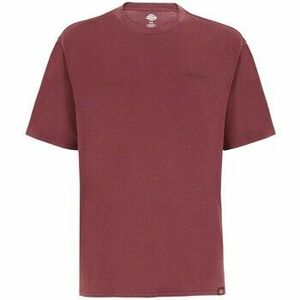 Rövid ujjú pólók Dickies Plentywood Ss Tee kép