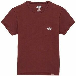 Rövid ujjú pólók Dickies Gladeville Ss Tee W kép