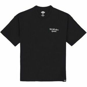 Rövid ujjú pólók Dickies Sneedville Tee Ss kép