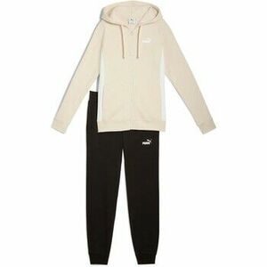 Melegítő együttesek Puma Full-Zip Hooded Sweat Suit Fl kép