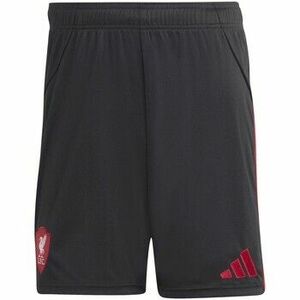 Rövidnadrágok adidas Lfc A Sho kép