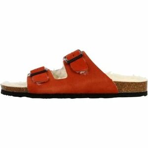 Papucsok Plakton 269853 kép