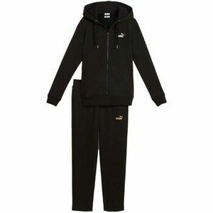 Melegítő együttesek Puma Metallic Hooded Sweat Suit Fl Op kép