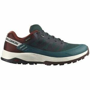 Túracipők Salomon Outrise Gtx Gore-tex kép