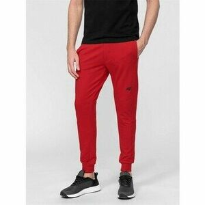 Nadrágok 4F 4557 kép