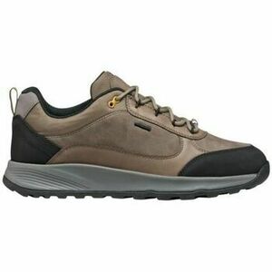 Rövid szárú edzőcipők Geox Baskets kép