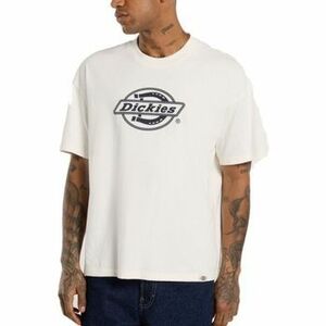 Rövid ujjú pólók Dickies FORTH SHAW kép