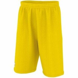 Rövidnadrágok Errea Dallas 3.0 Panta Ad kép