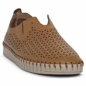 Alsóváros Frau 52P0CARA kép