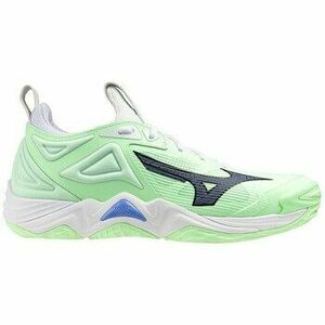 Fedett pályás sport Mizuno Wave Momentum 3 kép