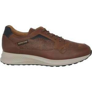 Divat edzőcipők Mephisto Davis kép