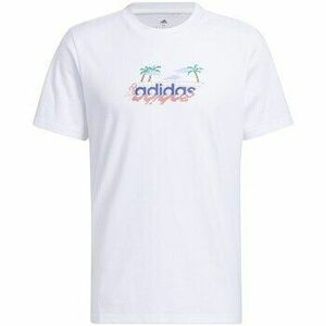 Rövid ujjú pólók adidas HS2528 kép