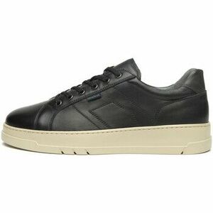 Rövid szárú edzőcipők NeroGiardini Sagar Deco Kenia Antracite Eva Torino Becco Tal kép