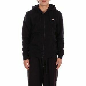 Pulóverek Dickies DK0A4XD3 kép