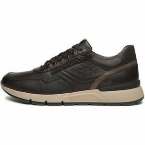 Divat edzőcipők NeroGiardini Savana Sauvage Taupe Pu.Bidens.Poggio B16 kép