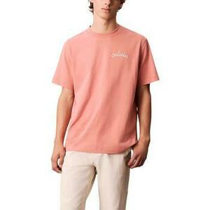 Rövid ujjú pólók Calvin Klein Jeans SS LEFT CHEST CHAIN LV04RC226G kép