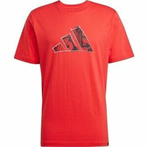 Rövid ujjú pólók adidas JJ3934 kép