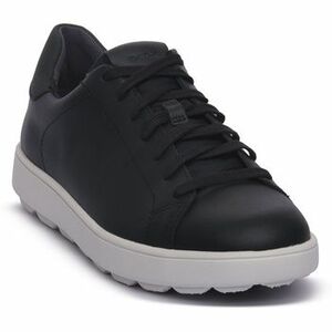 Divat edzőcipők Geox C4064 SPHERICA ECUB kép