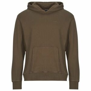 Pulóverek Levis THE AUTHENTIC HOODIE kép
