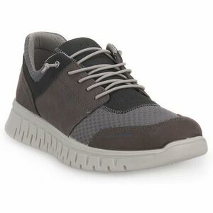 Divat edzőcipők IgI&CO EDO GRIGIO kép