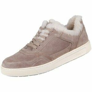 Rövid szárú edzőcipők Sioux Maites Sneak kép