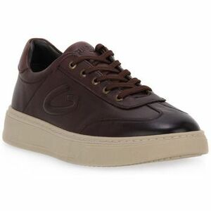 Divat edzőcipők Alberto Guardiani KEMP kép