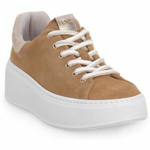 Divat edzőcipők NeroGiardini NERO GIARDINI 424 VELOUR AMBRA kép