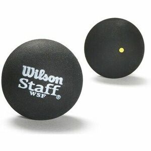 Cipő kiegészítők Wilson Squashball Staff kép