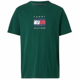 Pólók / Galléros Pólók Tommy Hilfiger LINEAR FLAG GRAPHIC TEE kép