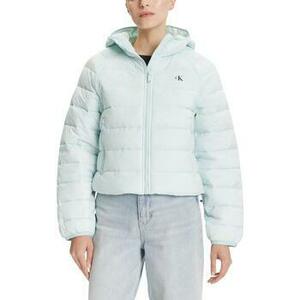Steppelt kabátok Calvin Klein Jeans LIGHTWEIGHT QUILTED LV047C510G kép