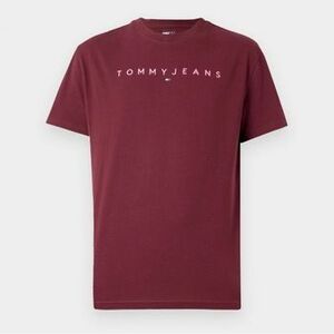 Pólók / Galléros Pólók Tommy Jeans TJM REG LINEAR LOGO TEE kép