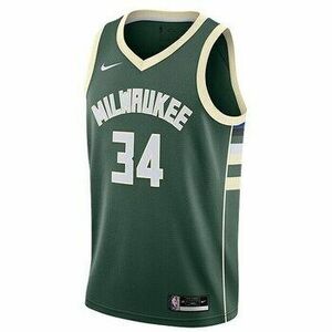 Rövid ujjú pólók Nike Nba Milwaukee Bucks Giannis Antetokounmpo Icon Edition kép