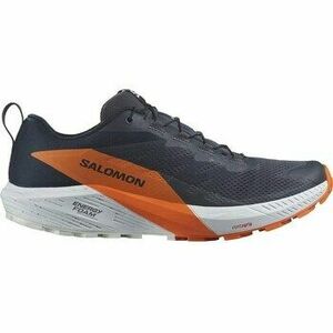Futócipők Salomon Sense Ride 5 Gtx Gore-tex kép