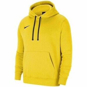 Pulóverek Nike Team Park 20 Hoodie kép