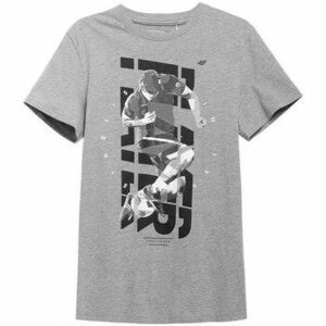 Rövid ujjú pólók 4F H4L21 TSM011 kép