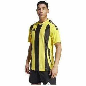 Rövid ujjú pólók adidas Striped 24 kép