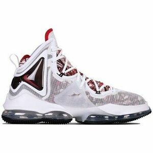 Kosárlabda Nike Lebron 19 Sketch kép