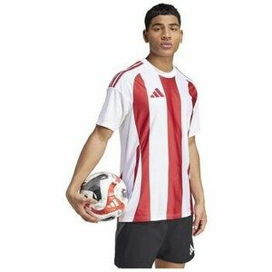 Rövid ujjú pólók adidas Striped 24 kép