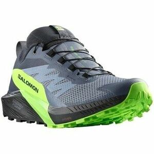 Futócipők Salomon Sense Ride 5 Gtx kép