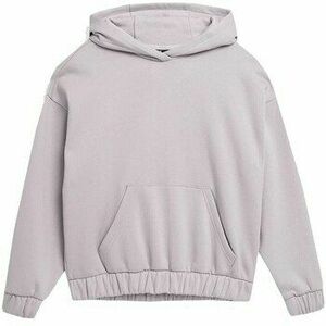 Pulóverek 4F 4FSS23TSWSF255SZARY kép