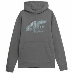 Pulóverek 4F TSWSM233 kép