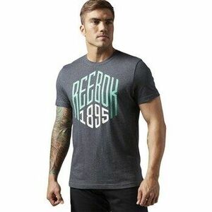 Rövid ujjú pólók Reebok Sport AJ2668 kép