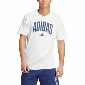 Rövid ujjú pólók adidas M COLLEGIATE T kép