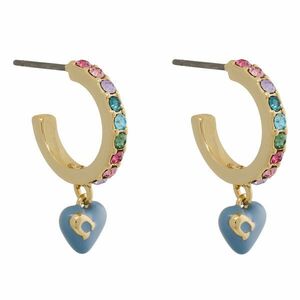 Fülbevaló Coach 37384784 Arany kép