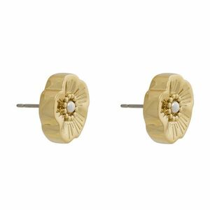 Fülbevaló Coach 37527562 Arany kép