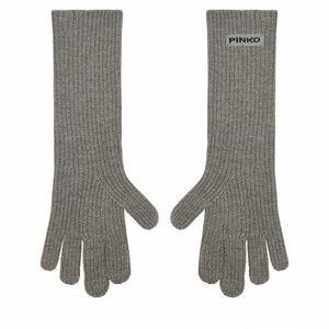 Női kesztyű PINKO Grecia 105997 A2Z4 Szürke kép