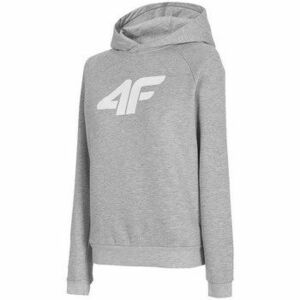 Pulóverek 4F BLD023 kép