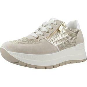 Divat edzőcipők IgI&CO D KOALA kép